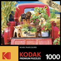 BBL-Football 1000 Piece Puzzles for Adults Jigsaw Puzzles Dogs in The Living Room with Kentucky Derby Decor Puzzles Educational Toys Jigsaw Puzzles 1000 Pieces for Kids Age 14